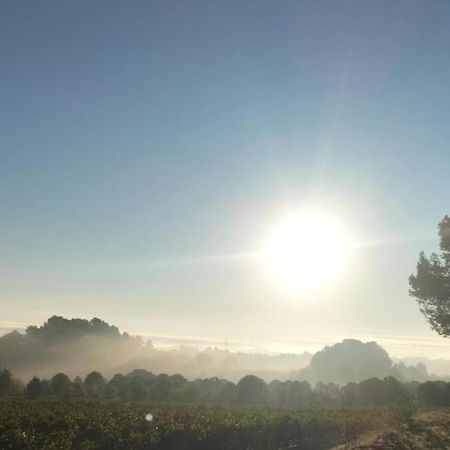 Gites A Moussan ,Domaine De La Barque A 5 Mins De Narbonne Bagian luar foto