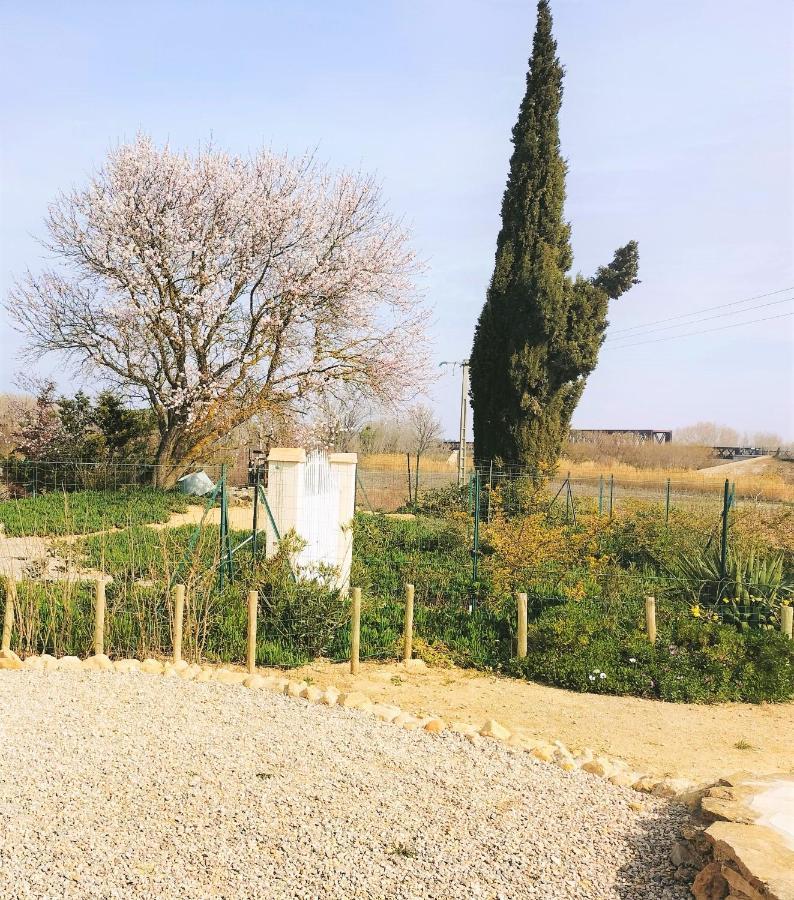 Gites A Moussan ,Domaine De La Barque A 5 Mins De Narbonne Bagian luar foto