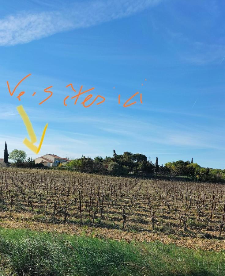 Gites A Moussan ,Domaine De La Barque A 5 Mins De Narbonne Bagian luar foto