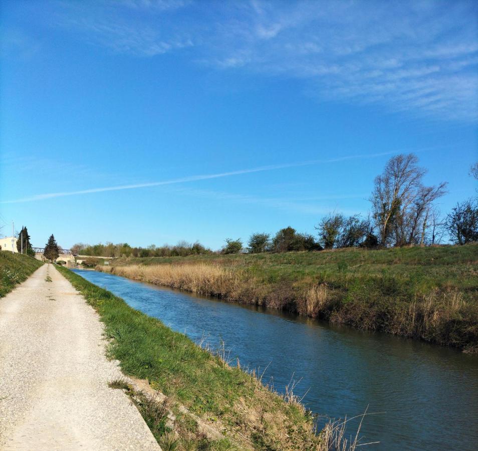 Gites A Moussan ,Domaine De La Barque A 5 Mins De Narbonne Bagian luar foto