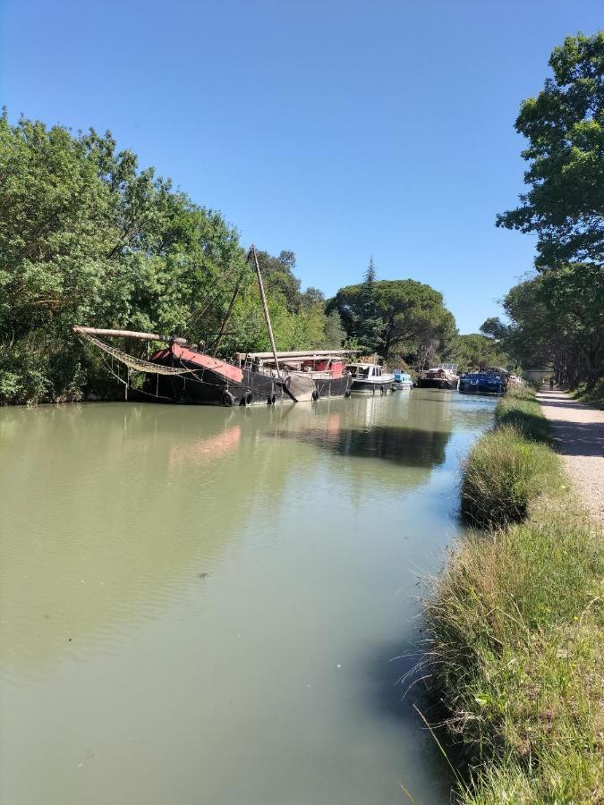 Gites A Moussan ,Domaine De La Barque A 5 Mins De Narbonne Bagian luar foto